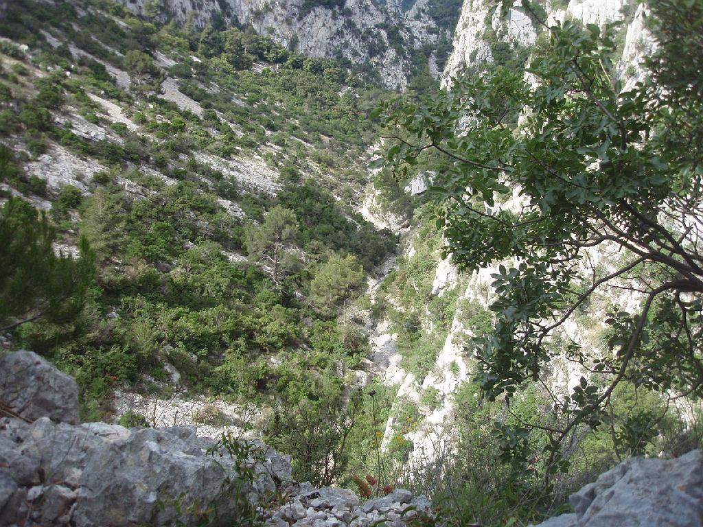08 06 08 Destel (15).JPG